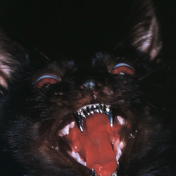 katlinekatzen